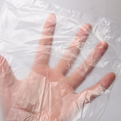 家庭用産業用耐久性のためのカスタマイズされたグリーンプラスチック新鮮食品包装袋
