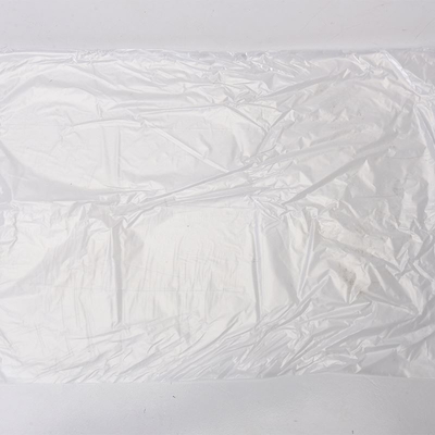 家庭用産業用耐久性のためのカスタマイズされたグリーンプラスチック新鮮食品包装袋